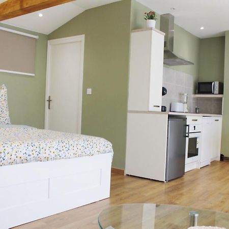 Saint Etienne : Appartement Chateaucreux 40 M2 Esterno foto