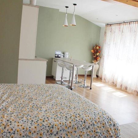 Saint Etienne : Appartement Chateaucreux 40 M2 Esterno foto