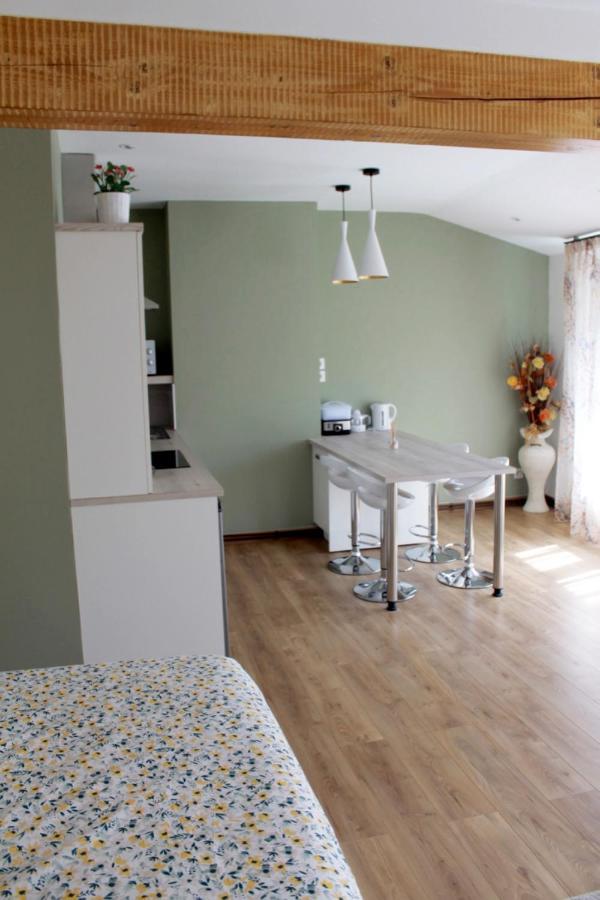 Saint Etienne : Appartement Chateaucreux 40 M2 Esterno foto
