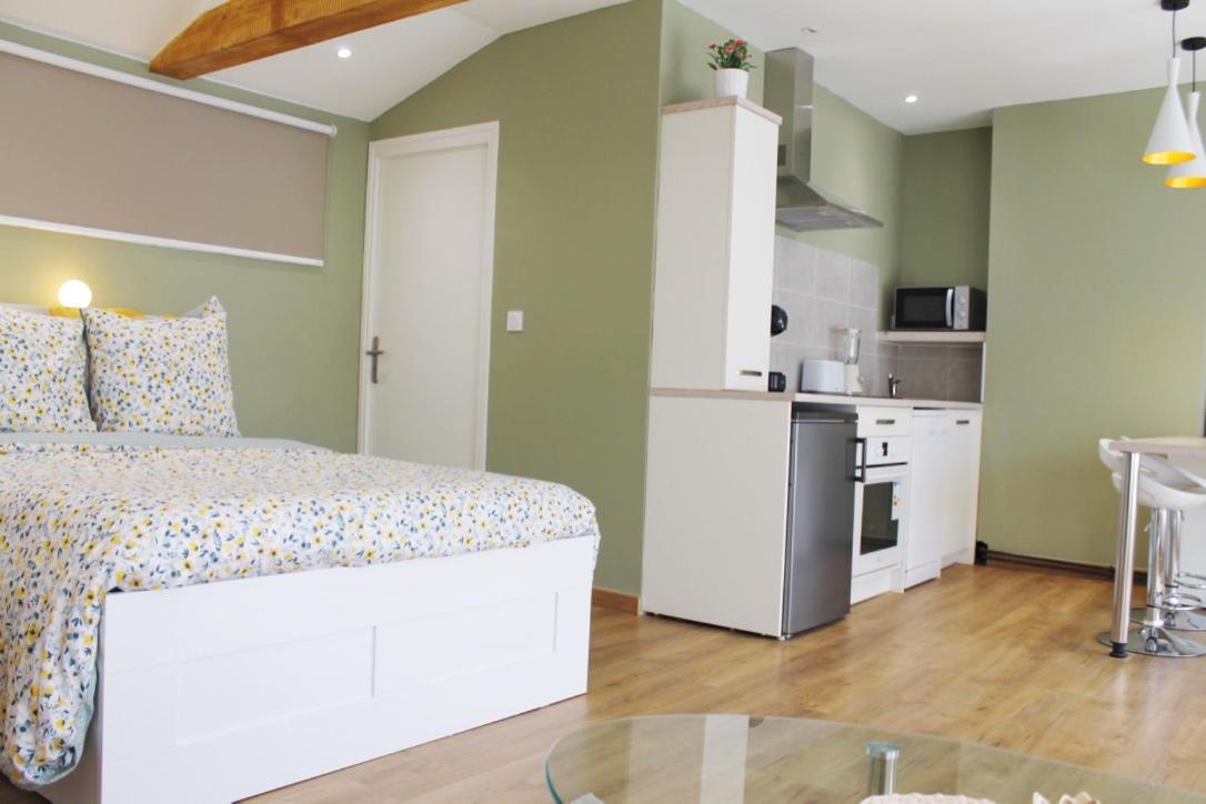 Saint Etienne : Appartement Chateaucreux 40 M2 Esterno foto