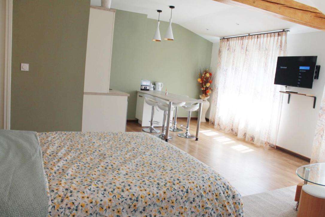 Saint Etienne : Appartement Chateaucreux 40 M2 Esterno foto
