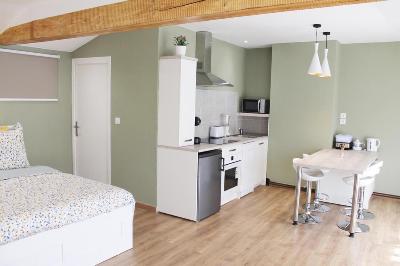Saint Etienne : Appartement Chateaucreux 40 M2 Esterno foto
