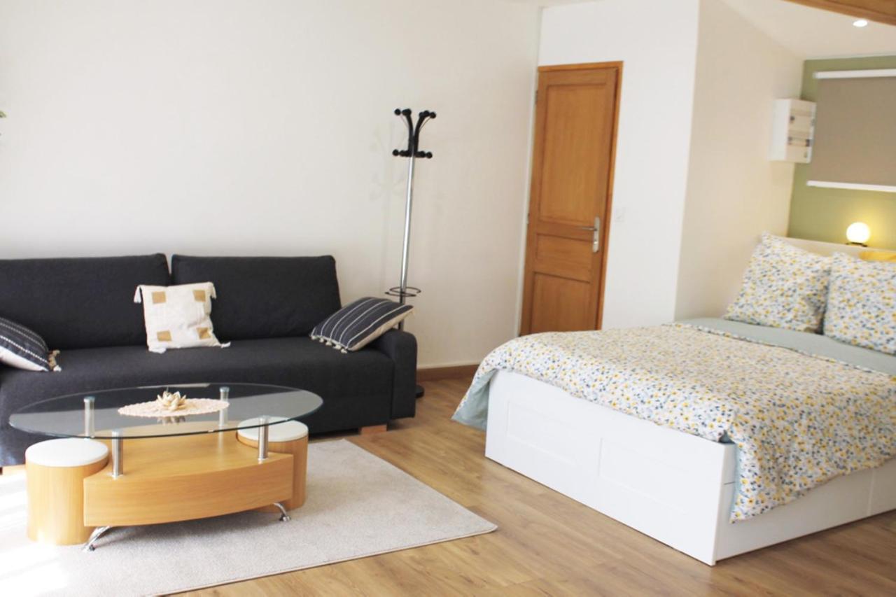 Saint Etienne : Appartement Chateaucreux 40 M2 Esterno foto