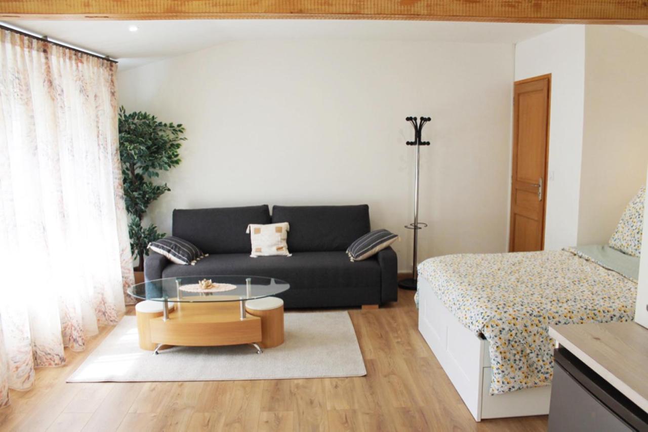 Saint Etienne : Appartement Chateaucreux 40 M2 Esterno foto