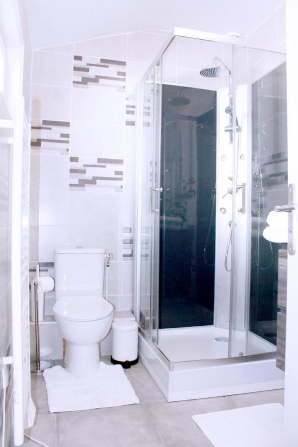 Saint Etienne : Appartement Chateaucreux 40 M2 Esterno foto